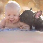 子犬と赤ちゃんの仲良し“兄弟”